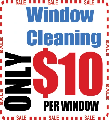 Technician cleaning windows with squeegee