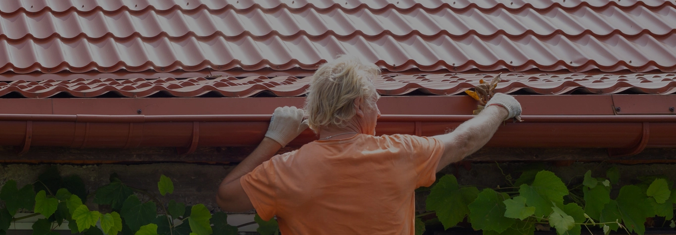 Cleaned gutters and downspouts on Florida home