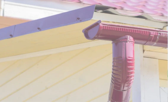 Professional gutter cleaning