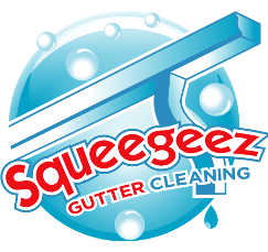 Squeegeez gutter logo