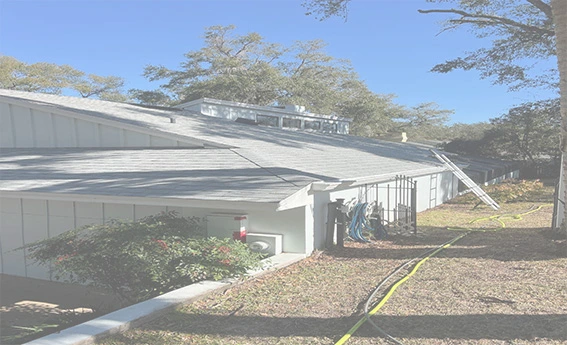 House and roof soft washing service