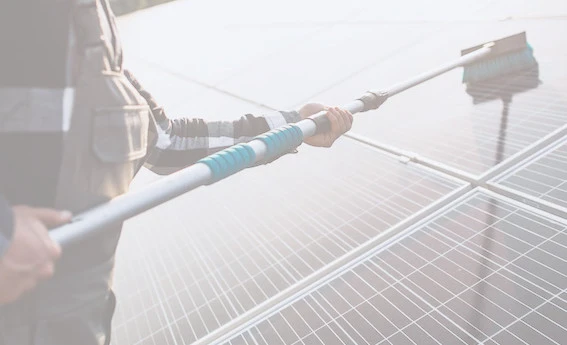 Solar panel cleaning service